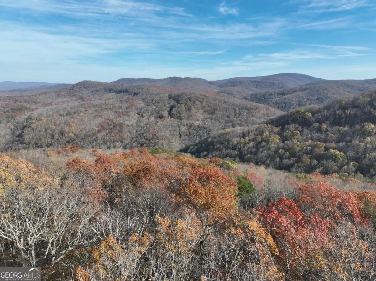 274 Andes Ridge, Ellijay, GA 30536 - #1