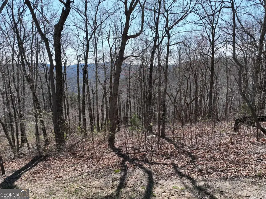 274 Andes Ridge, Ellijay, GA 30536 - #2