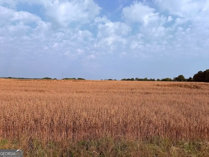 TRACT 4 Friendship Road, Hartwell, GA 30643 - Image #2