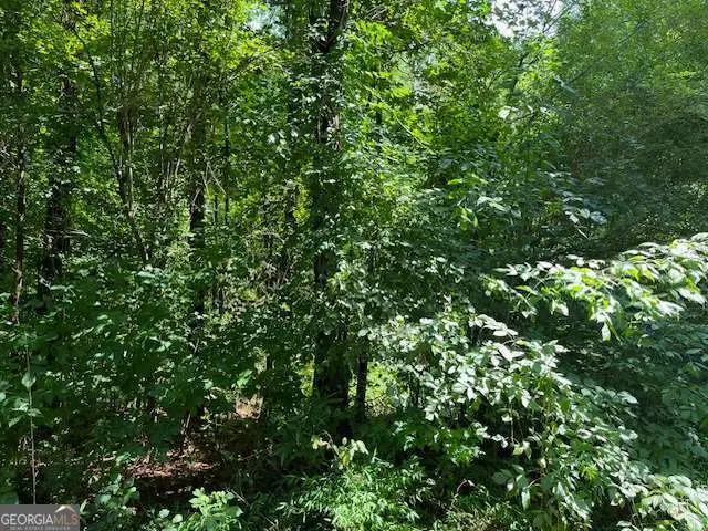 127 South Ole Hickory Trail, Carrollton, GA 30117 - Image #3