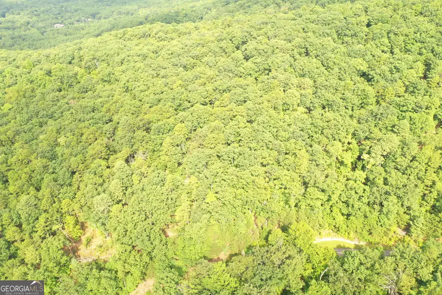 0 Mountain Sweet, Clarkesville, GA 30523 - #3