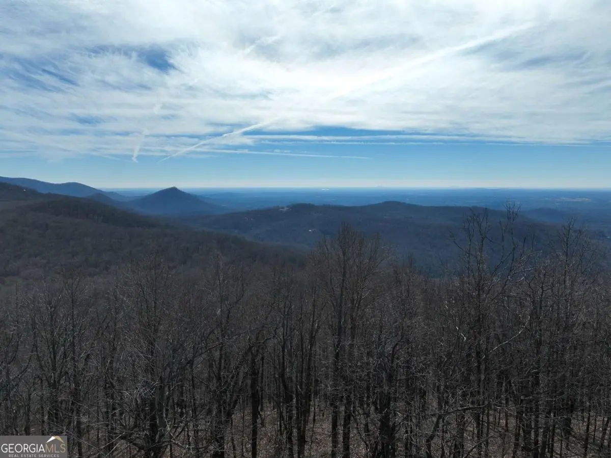 256 Blood Root Trail, Ellijay, GA 30536 - #1