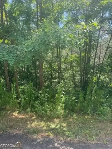 LTS 43 & 44 Reece Mountain Road, Ellijay, GA 30536 - Image #2