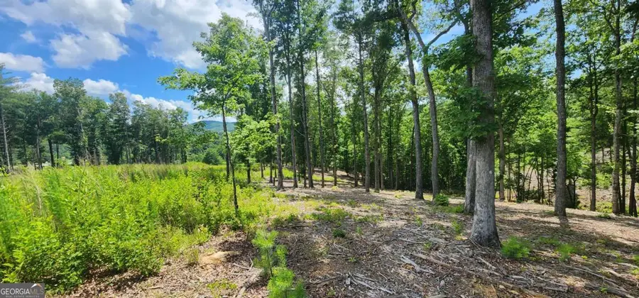 LT 106 Split Creek Road #106, Morganton, GA 30560 - Image #2