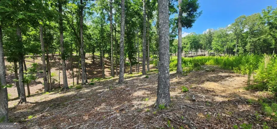 LT 106 Split Creek Road #106, Morganton, GA 30560 - Image #3
