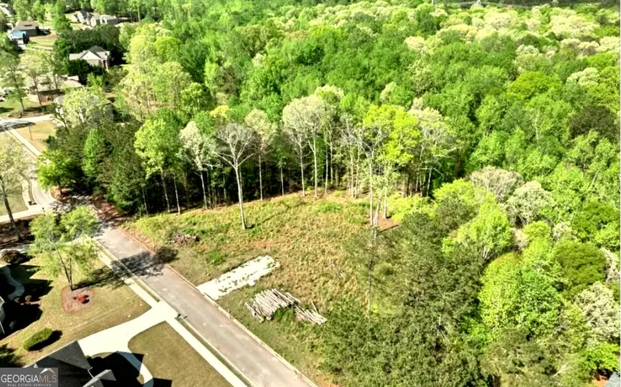 3180 Jackson Creek Drive, Stockbridge, GA 30281 - Image #3