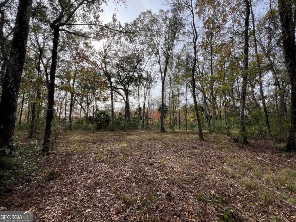 597 Salt Creek Way E, Brunswick, GA 31523 - Image #1