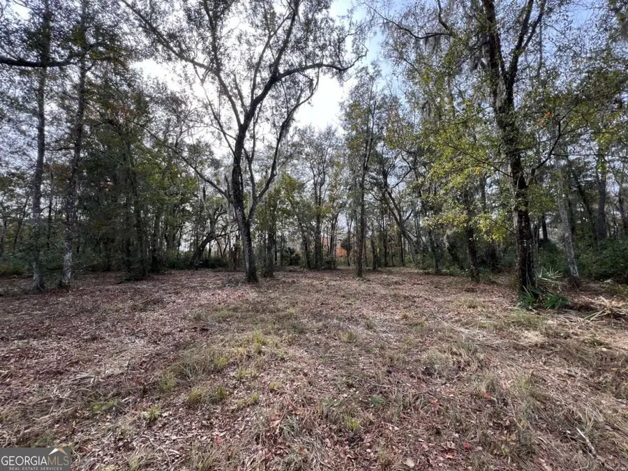 597 Salt Creek Way E, Brunswick, GA 31523 - Image #3