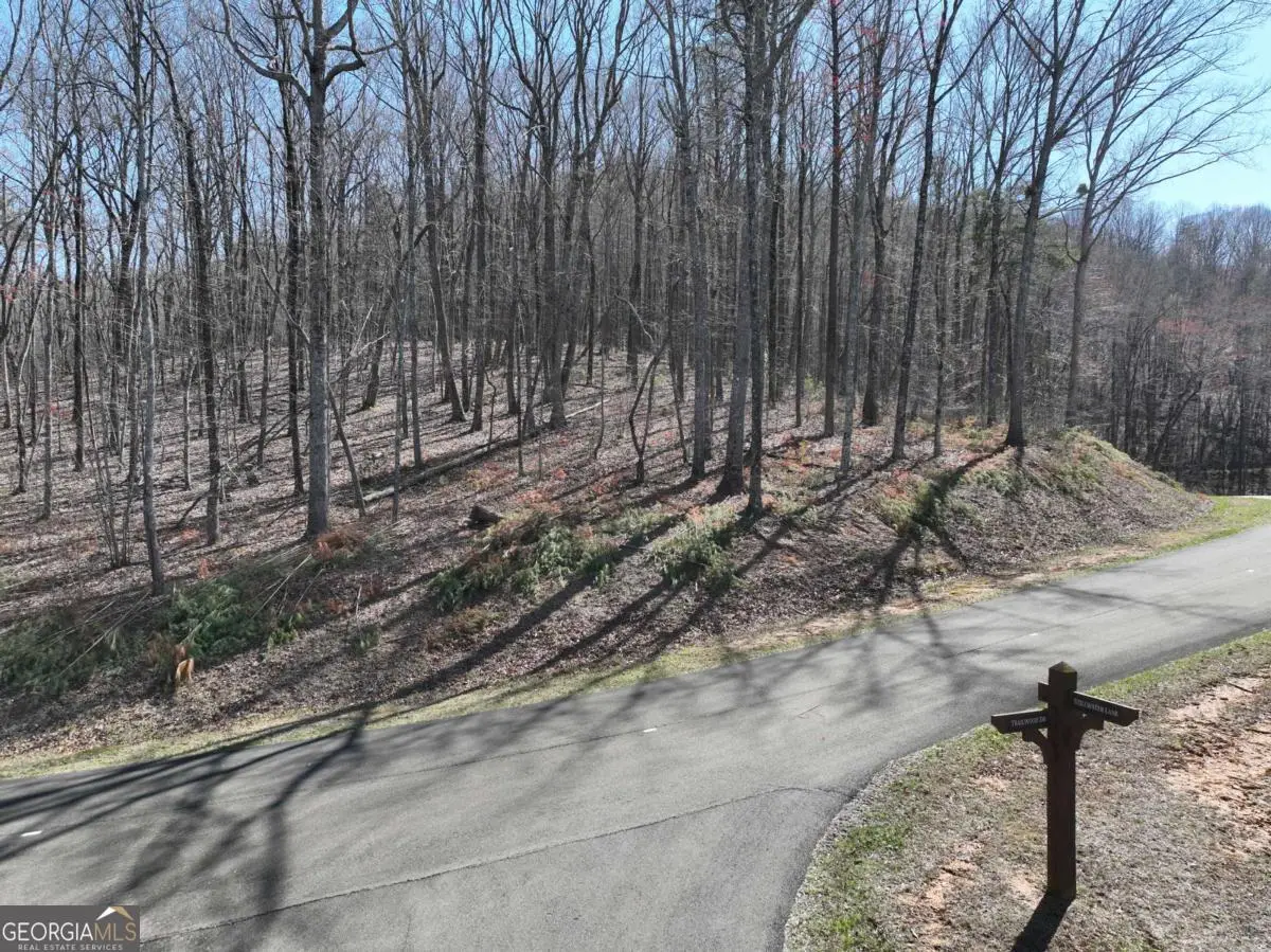 180 Trailwood Drive, Ellijay, GA 30536 - #1