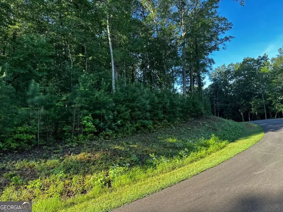 180 Trailwood Drive, Ellijay, GA 30536 - #2