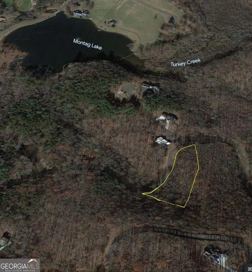 180 Trailwood Drive, Ellijay, GA 30536 - #3