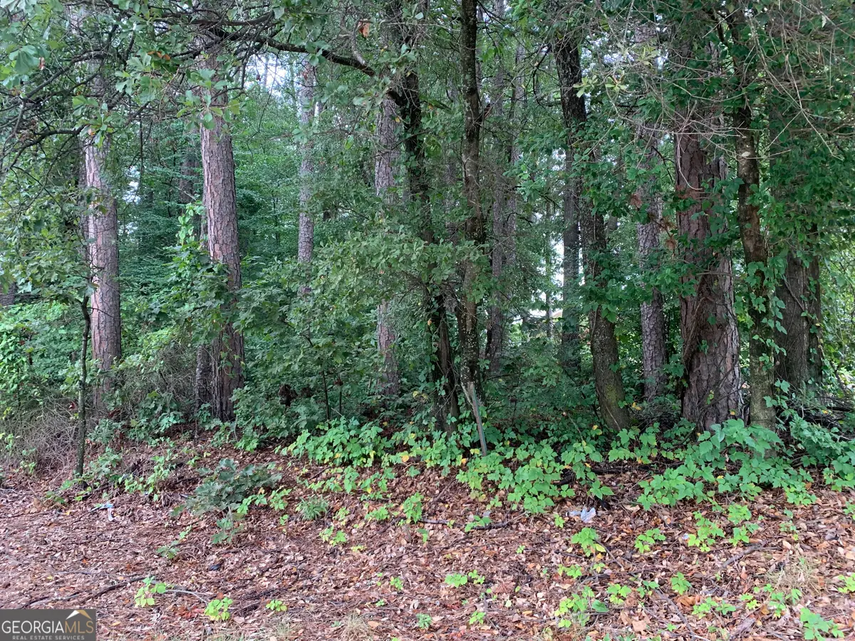 0 Hwy 17 Alt, Toccoa, GA 30577 - Image #1