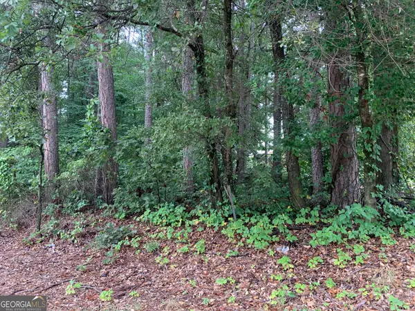 0 Hwy 17 Alt, Toccoa, GA 30577