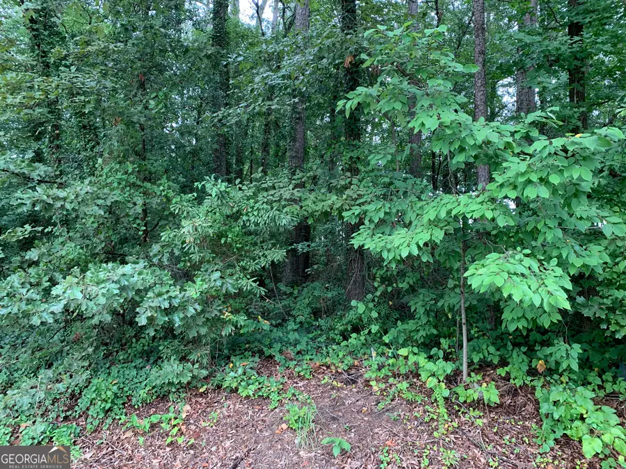 0 Hwy 17 Alt, Toccoa, GA 30577 - Image #2