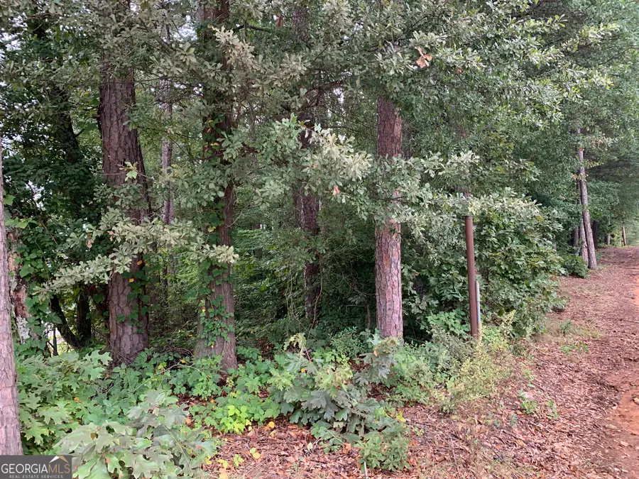 0 Hwy 17 Alt, Toccoa, GA 30577 - Image #3