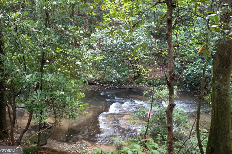 1990 Big Creek Road, Blue Ridge, GA 30513 - Image #2