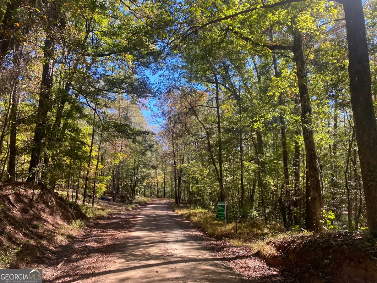 90 +/- ACRES English Road, Forsyth, GA 31029 - Image #1