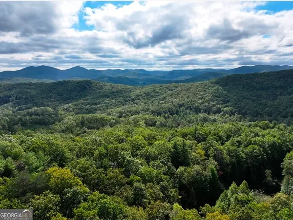 LOT 10 Papa Bear Path, Cherry Log, GA 30522