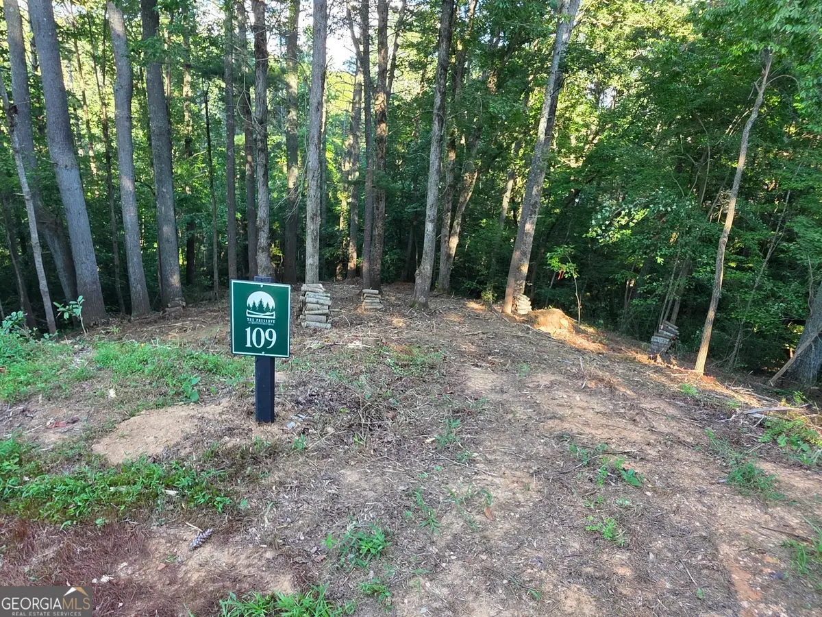 109R Red Oak Trail, East Ellijay, GA 30540 - #1