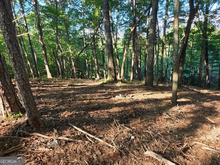 124R Red Oak Trail, East Ellijay, GA 30540 - #2