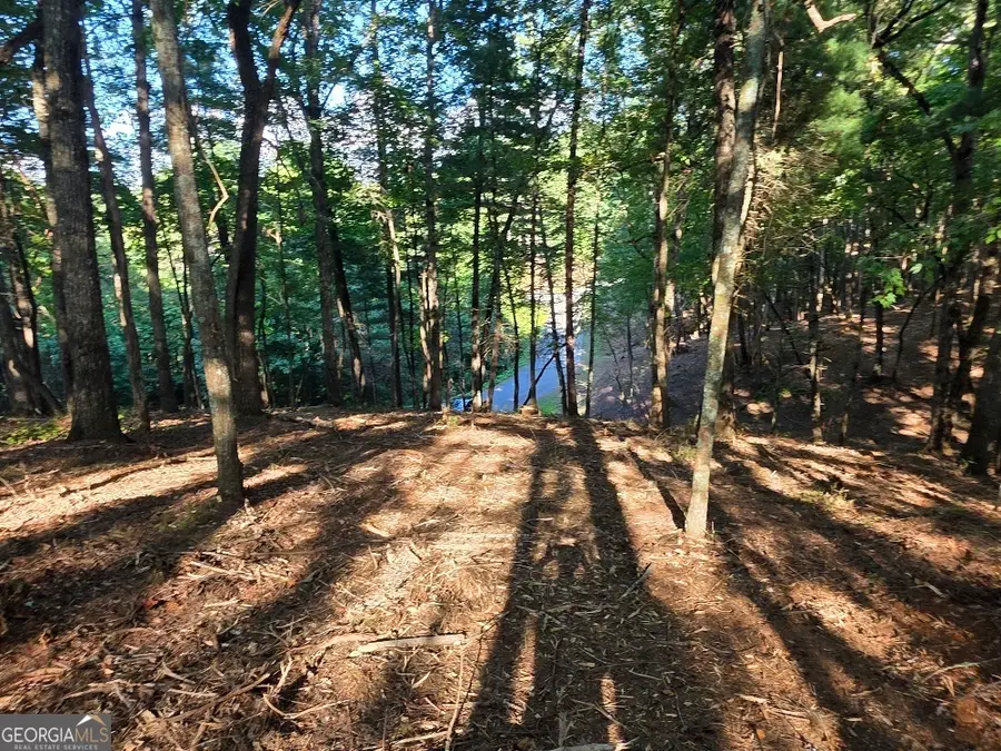 124R Red Oak Trail, East Ellijay, GA 30540 - #3