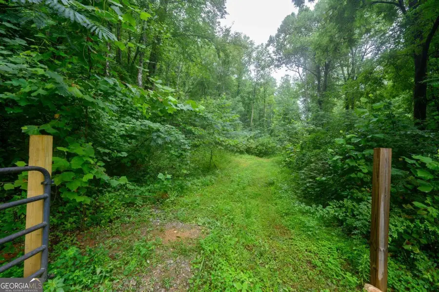 11094 Old 441 S, Lakemont, GA 30552 - Image #3