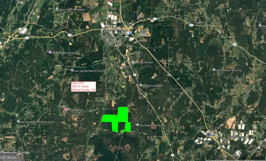 0 Griffin Road #5007-PARCEL 3, Cartersville, GA 30120 - Image #2