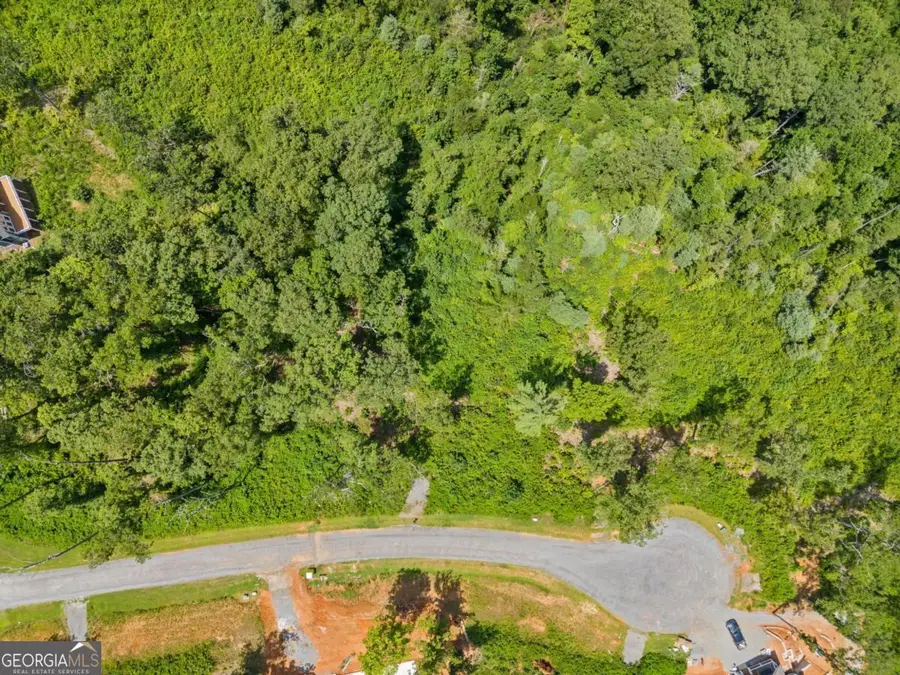 105 River Knoll Trail #105, Ellijay, GA 30540 - #3