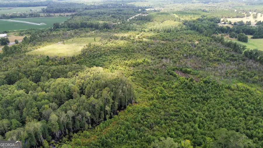 1396 Grant Rowe Road B, Dublin, GA 31021 - Image #3