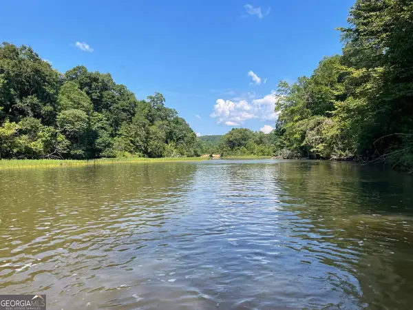 0 Hwy 36 #LOT 4, Woodland, GA 31836