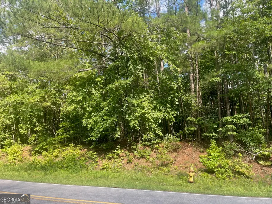 0 Young Road, Franklin, GA 30217 - Image #2