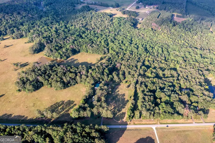 4170 Hollonville Road, Williamson, GA 30292 - Image #3