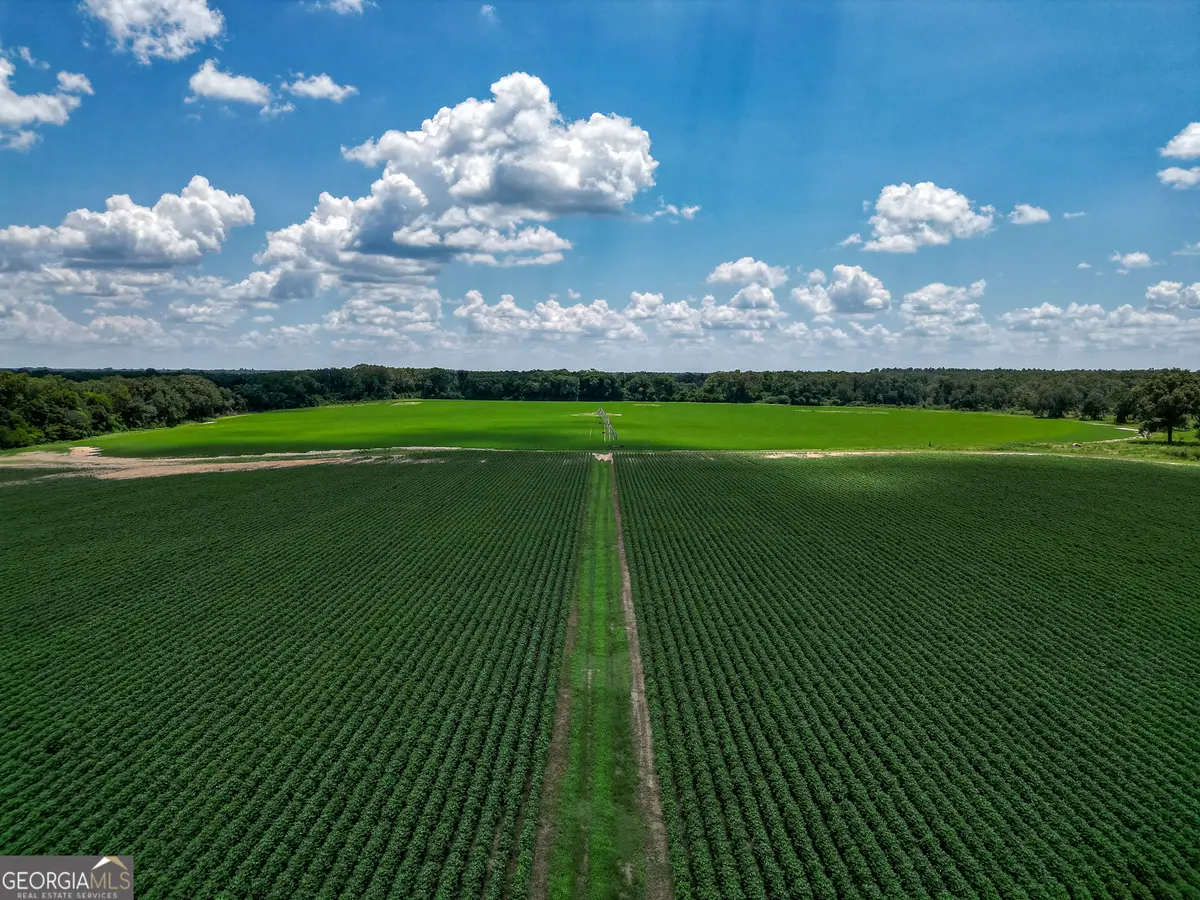 0 Nantze Springs, Arlington, GA 39813 - Image #1