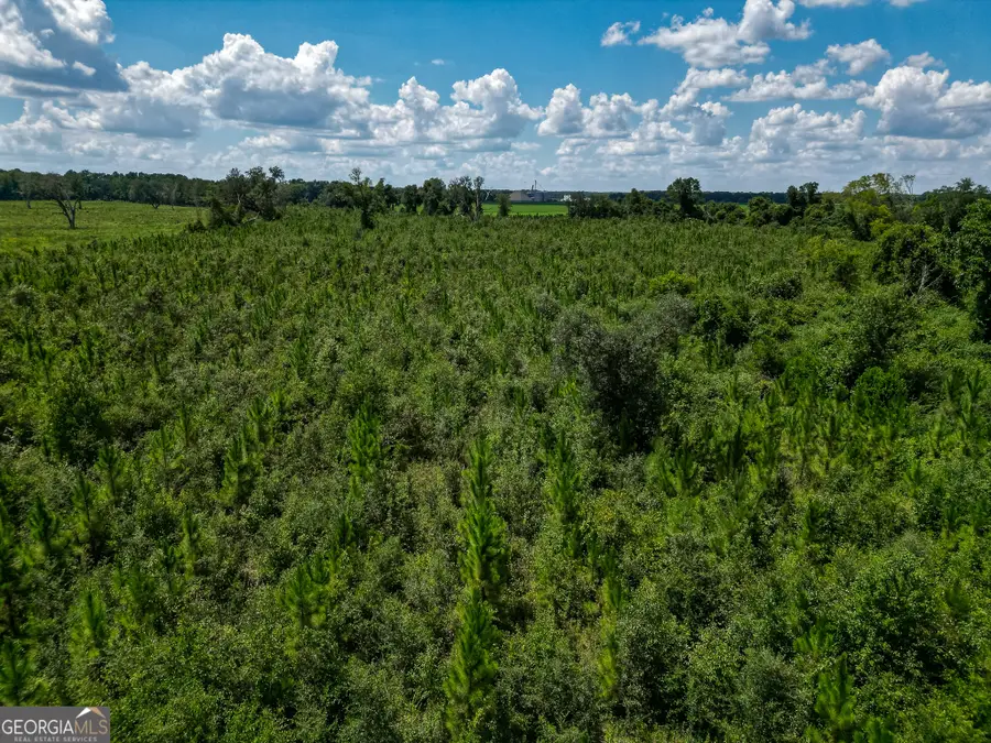 0 Nantze Springs, Arlington, GA 39813 - Image #2