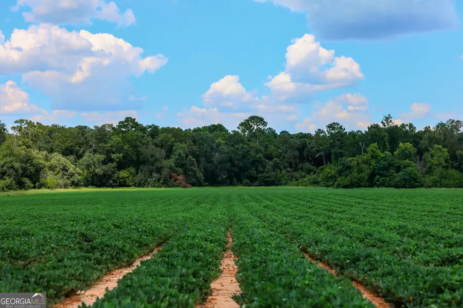 0 Nantze Springs, Arlington, GA 39813 - Image #3