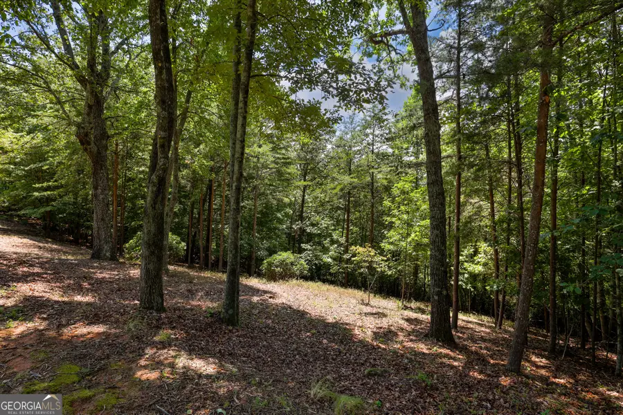 0 Laceola South Road #LOT 120, Cleveland, GA 30528 - Image #3