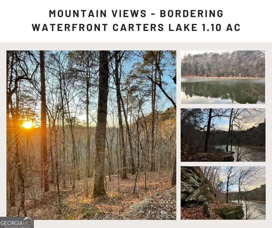 681,682 Julep Circle, Ellijay, GA 30540 - #1