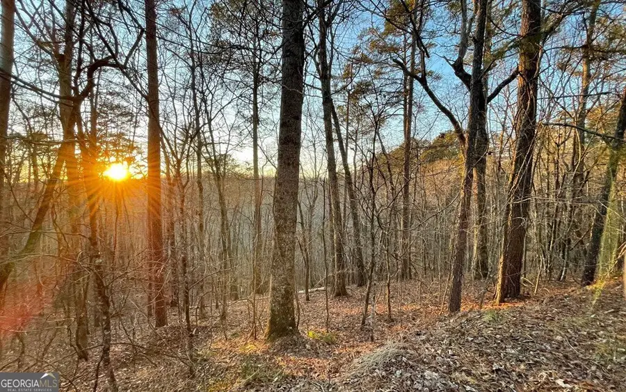 681,682 Julep Circle, Ellijay, GA 30540 - #2