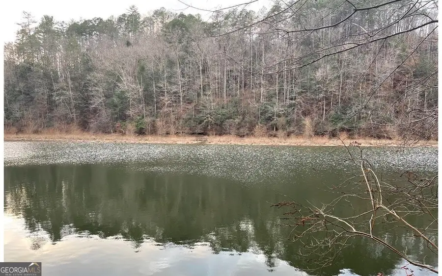 681,682 Julep Circle, Ellijay, GA 30540 - #3