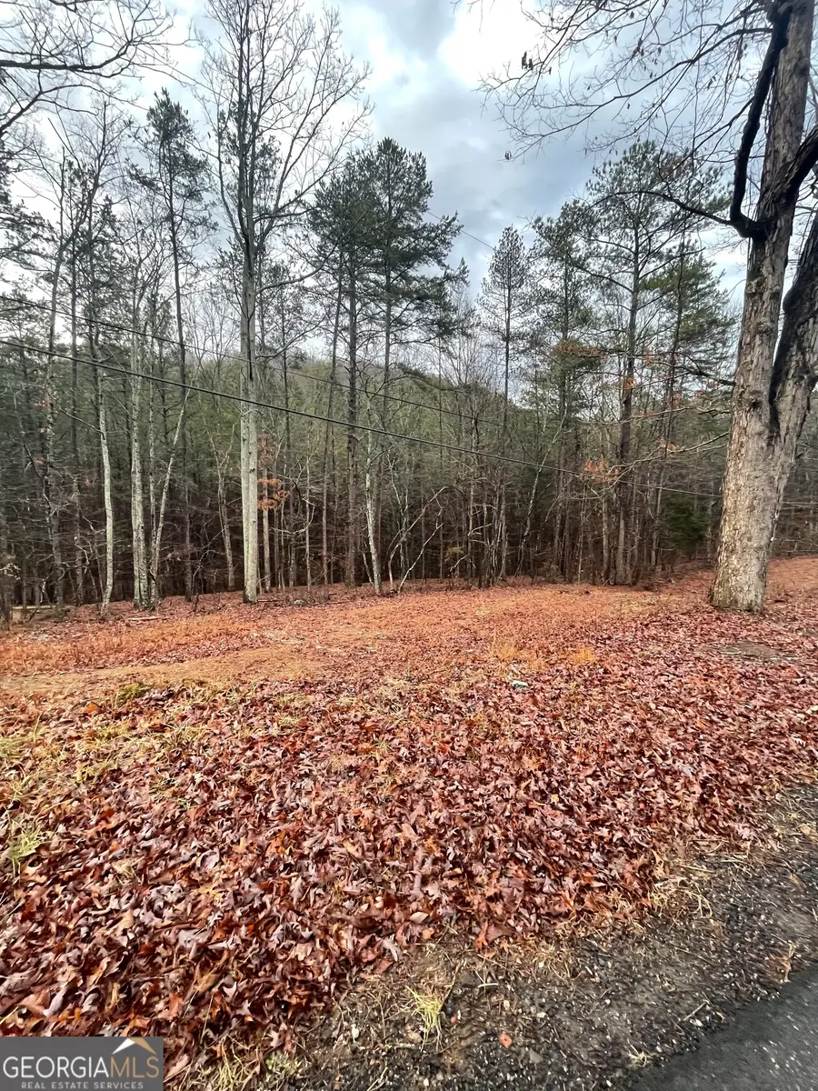 130 Connesena Road, Kingston, GA 30145 - Image #2