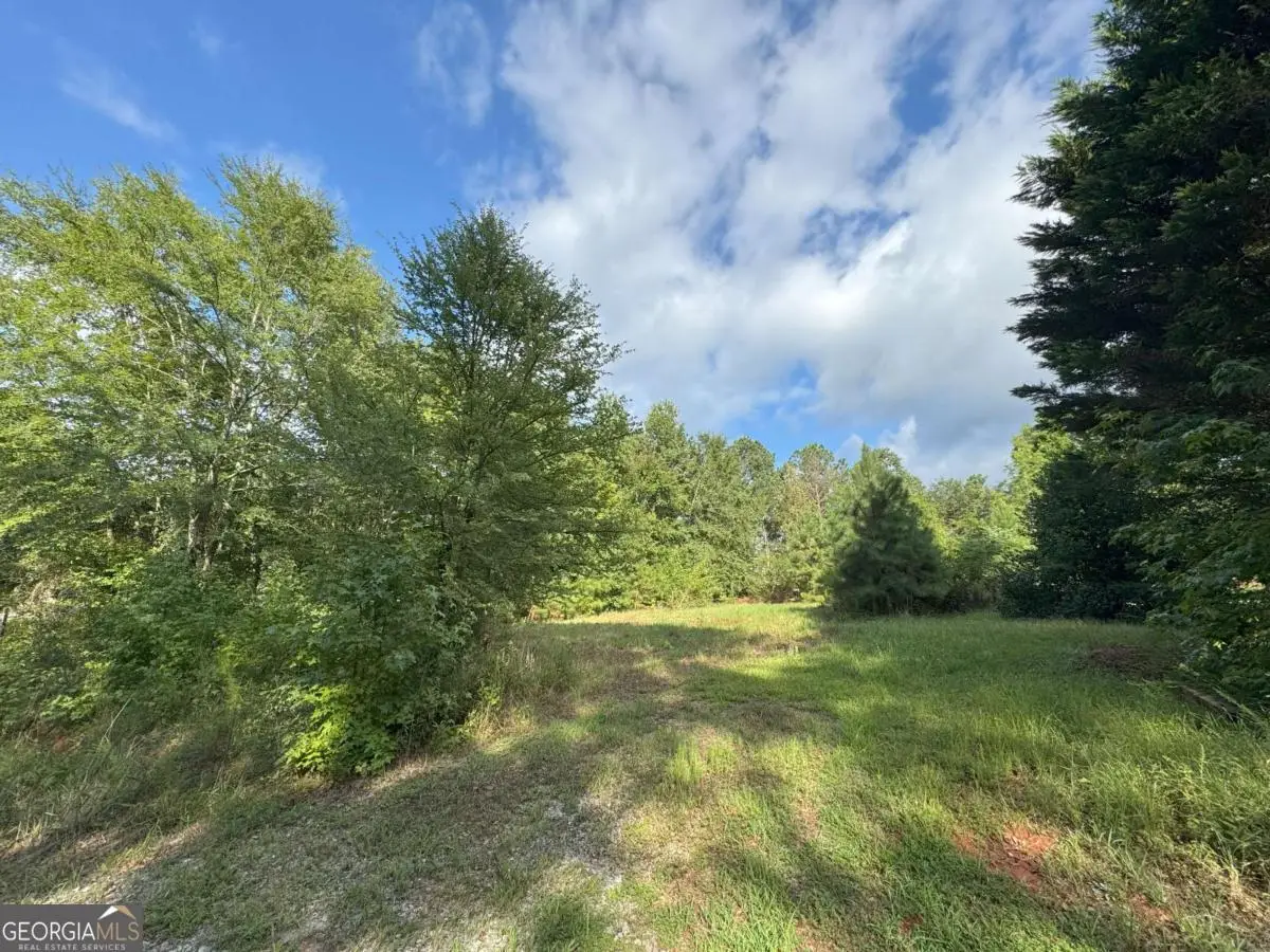 155 Mulberry Lane, Danielsville, GA 30633 - Image #1