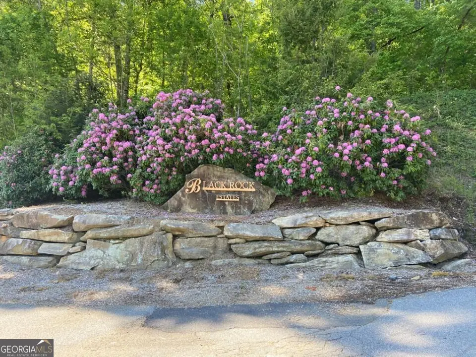 0 Yellow Trillium #LOT 13, Clayton, GA 30525 - Image #1