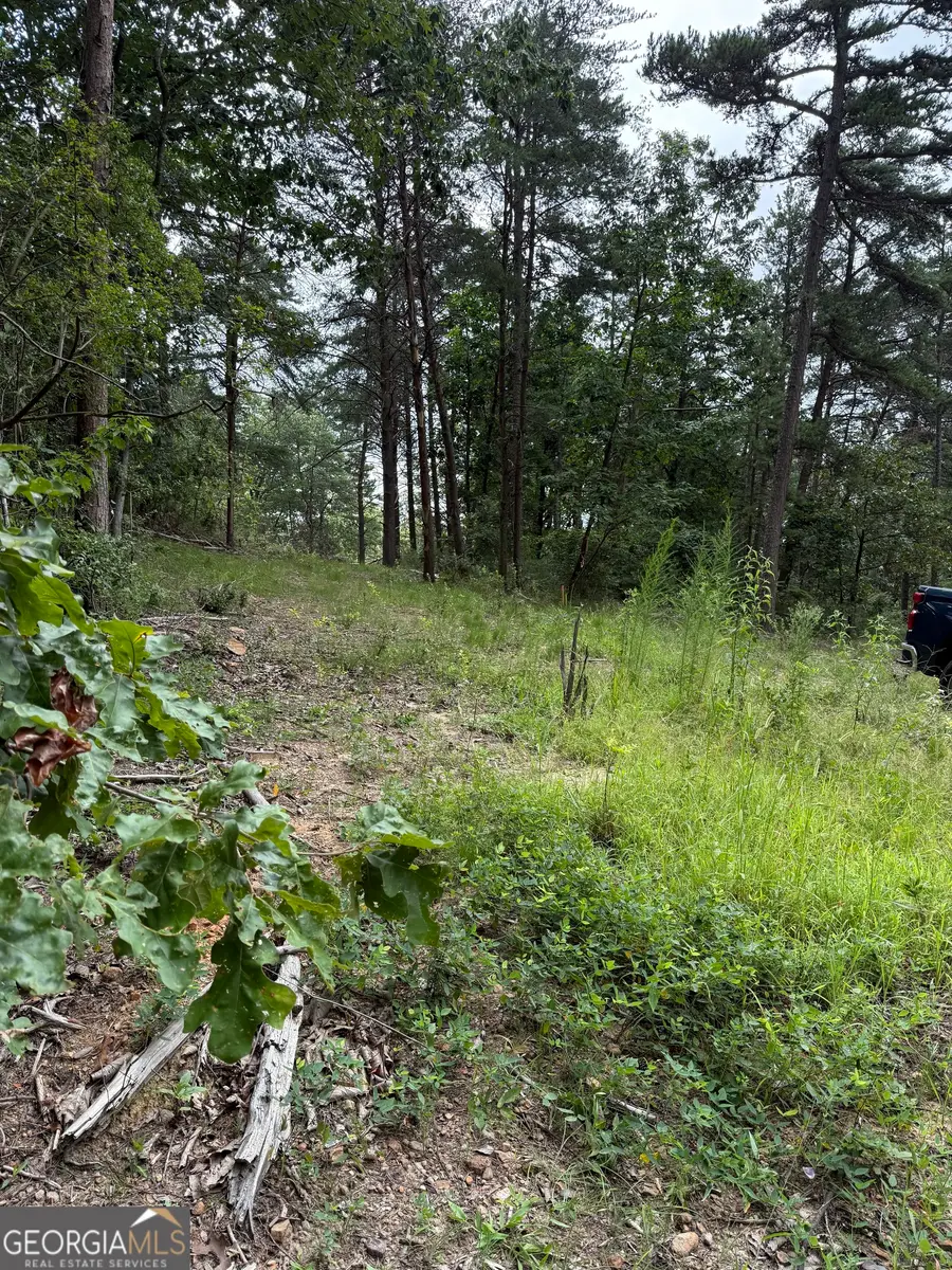 680 Fouche Gap Road Nw, Rome, GA 30165 - Image #3