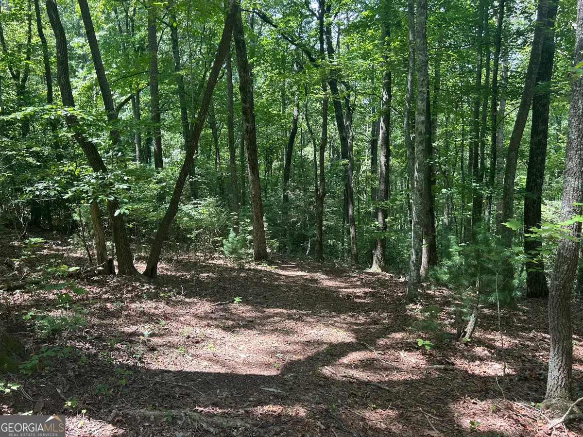 22.5 AC Hwy 2 #TR 6, Blue Ridge, GA 30513 - #1