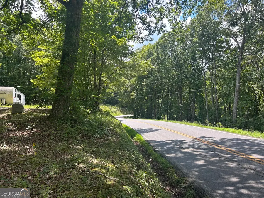 22.5 AC Hwy 2 #TR 6, Blue Ridge, GA 30513 - #2