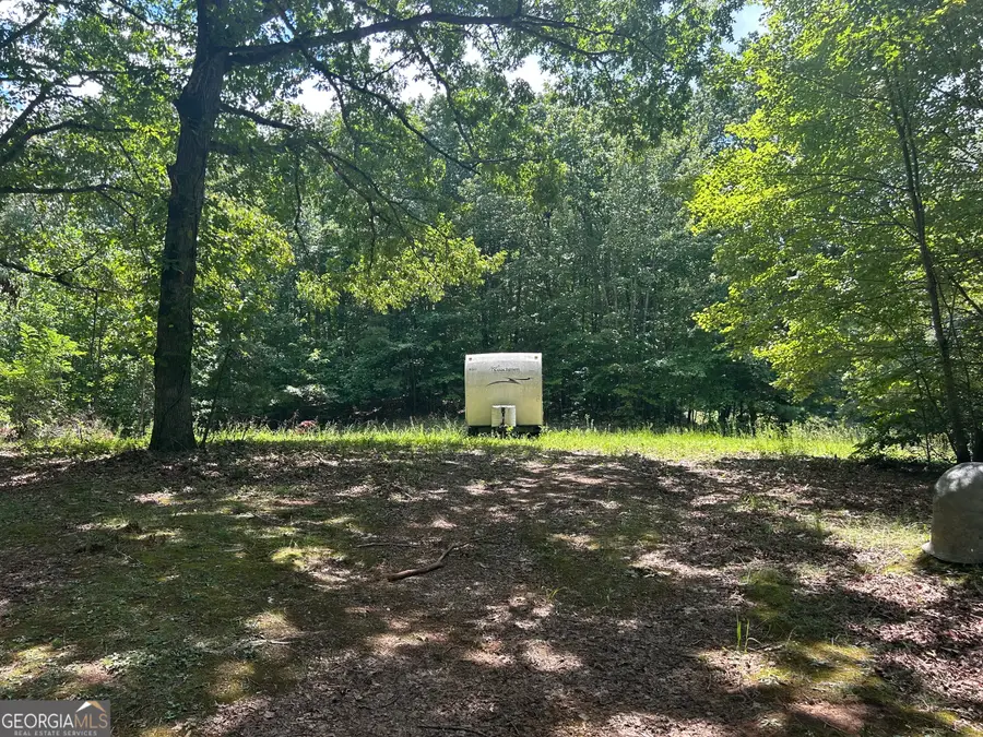 22.5 AC Hwy 2 #TR 6, Blue Ridge, GA 30513 - #3