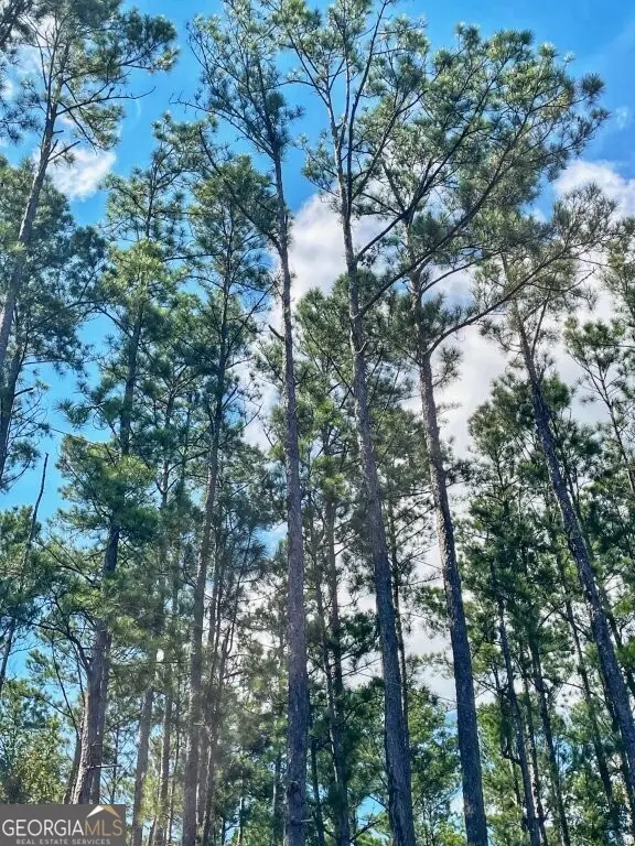 0 Incachee Road, Waverly, GA 31565 - Image #1