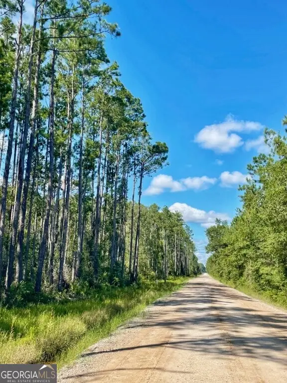 0 Incachee Road, Waverly, GA 31565 - Image #3