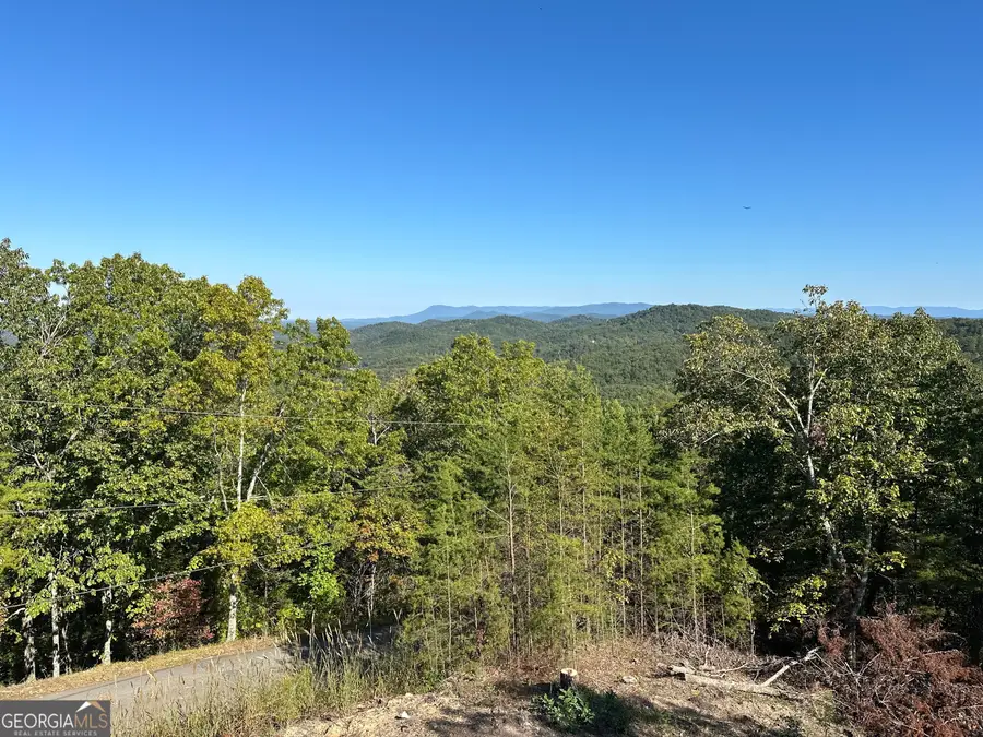 185 Stirratt Road, Ranger, GA 30734 - Image #3