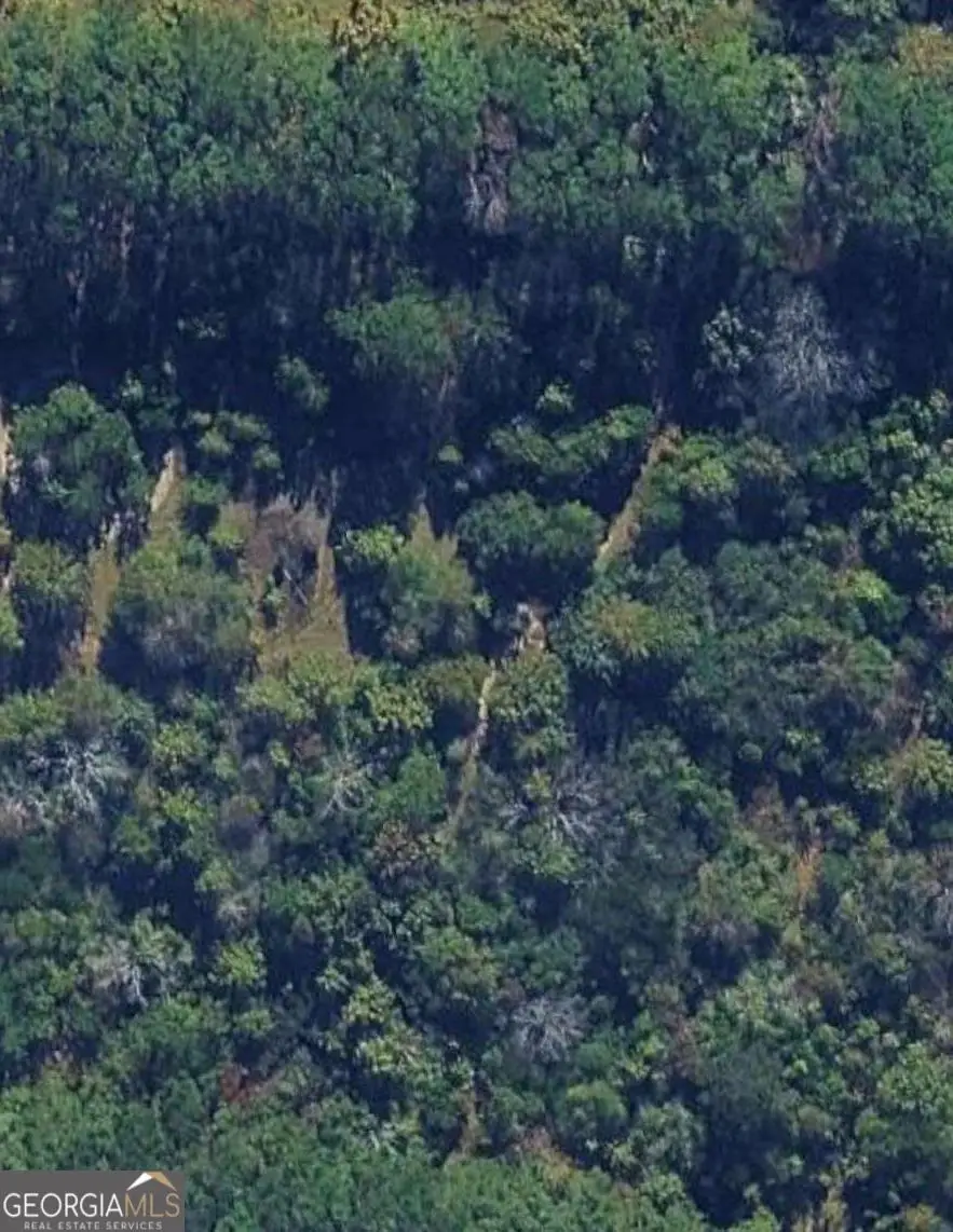 0 Willow Creek Run, Cochran, GA 31014 - Image #1